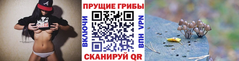 купить   Сочи  Галлюциногенные грибы мицелий 