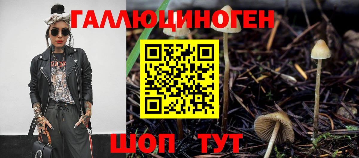 сколько стоит  Псилоцибиновые грибы MAGIC MUSHROOMS  Вход с VPN  Галлюциногенные грибы мухоморы  Сочи 